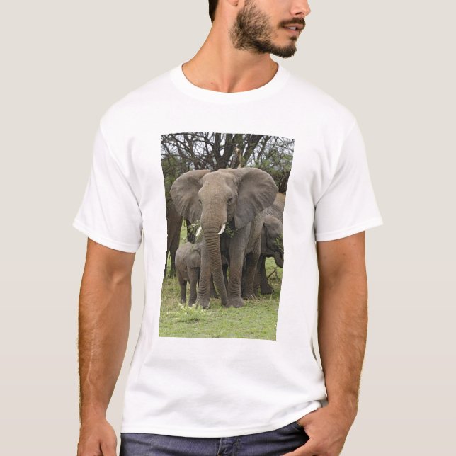 Afrikanischer Elefant | Herde T-Shirt (Vorderseite)