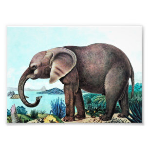Afrikanischer Elefant im Vintage-Stil Fotodruck