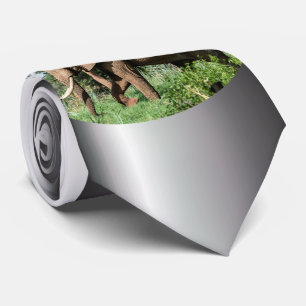 Afrikanischer Elefant in der Safari Krawatte