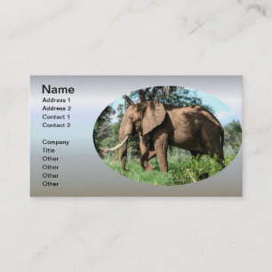 Afrikanischer Elefant in der Safari Visitenkarte