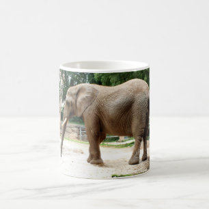 Afrikanischer Elefant Kaffeetasse