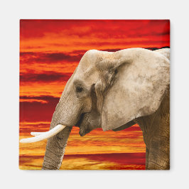 Afrikanischer Elefant - Kühlschrankmagnet Magnet