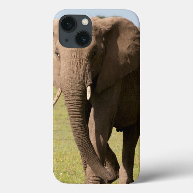 Afrikanischer Elefant (Loxodonta Africana), Maasai Case-Mate iPhone Hülle (Rückseite)