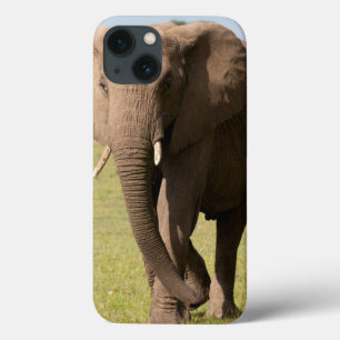 Afrikanischer Elefant (Loxodonta Africana), Maasai Case-Mate iPhone Hülle