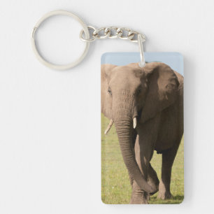 Afrikanischer Elefant (Loxodonta Africana), Maasai Schlüsselanhänger