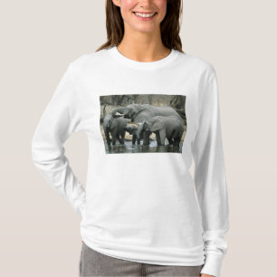 Afrikanischer Elefant, (Loxodonta africana), trink T-Shirt
