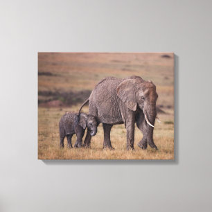 Afrikanischer Elefant mit Baby Leinwanddruck