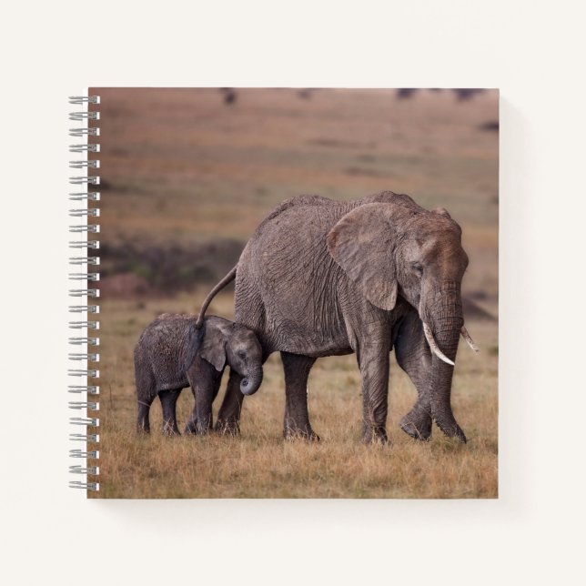 Afrikanischer Elefant mit Baby Notizbuch (Vorderseite)