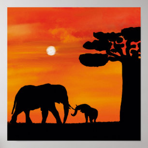 afrikanischer Elefant Poster