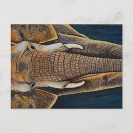 Afrikanischer Elefant Postkarte