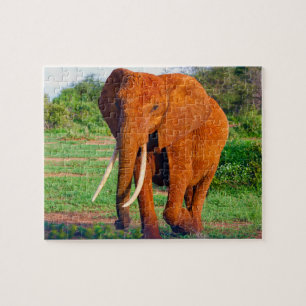 Afrikanischer Elefant Puzzle