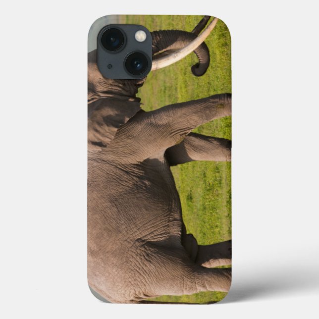Afrikanischer Elefant, Schutzgebiet Ngorongoro Case-Mate iPhone Hülle (Rückseite)
