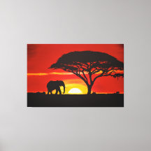 Afrikanischer Elefant, Sonnenuntergang, Afrika, af