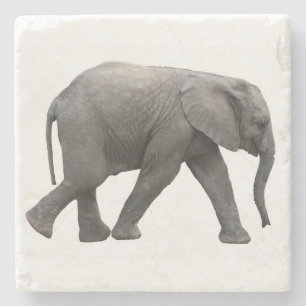Afrikanischer Elefant Steinuntersetzer