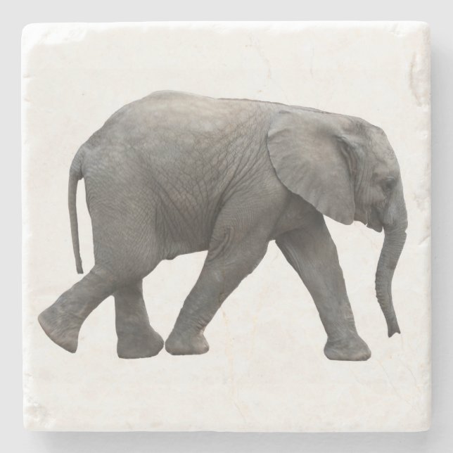 Afrikanischer Elefant Steinuntersetzer (Vorderseite)