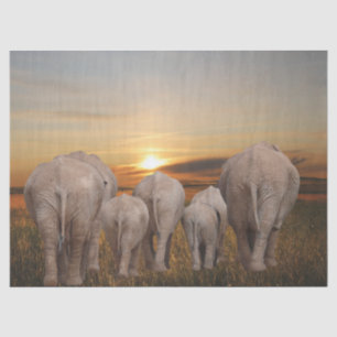 Afrikanischer Elefant Sunset Seidenpapier