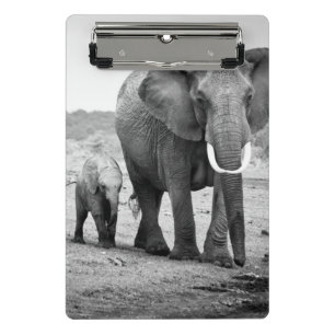 Afrikanischer Elefant u. Kälber   Kenia, Afrika Mini Klemmbrett