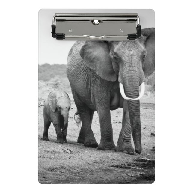 Afrikanischer Elefant u. Kälber | Kenia, Afrika Mini Klemmbrett (Vorderseite)