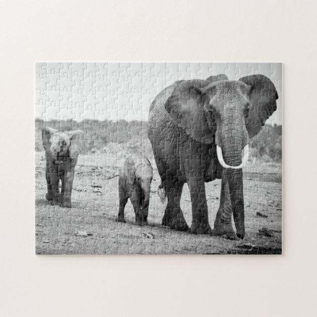 Afrikanischer Elefant u. Kälber | Kenia, Afrika Puzzle (Horizontal)