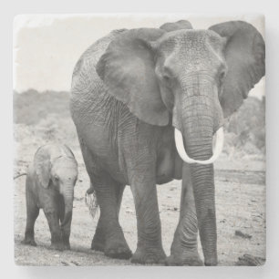 Afrikanischer Elefant u. Kälber   Kenia, Afrika Steinuntersetzer