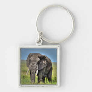 Afrikanischer Elefant-u. Savanne-Gräser Schlüsselanhänger