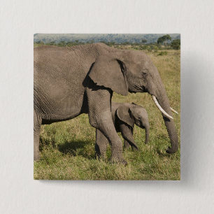 Afrikanischer Elefant und Jungtier (Loxodonta afri Button