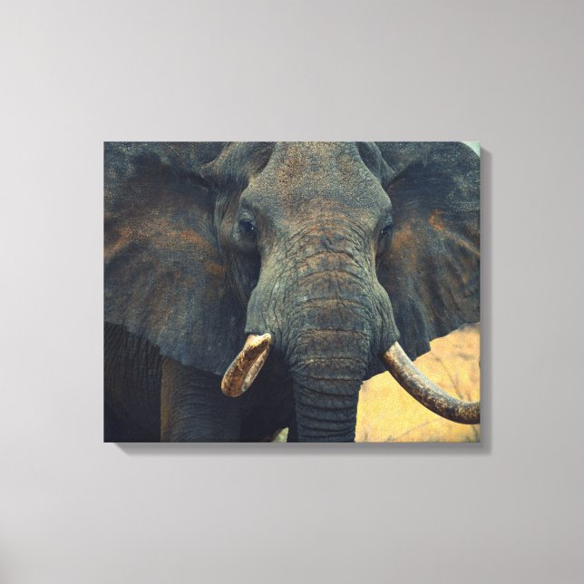 Afrikanischer Elefant Wrapped Canvas Leinwanddruck (Vorderseite)