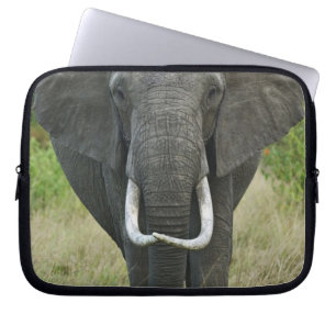 Afrikanischer ElefantLoxodonta, Masai Mara Game Laptopschutzhülle