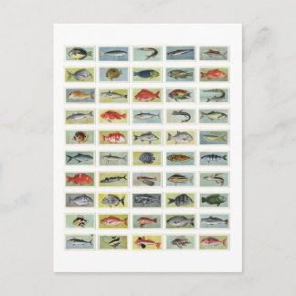 Afrikanischer Fisch Postkarte