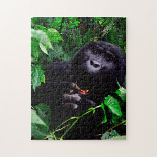 Afrikanischer Gorilla Puzzle