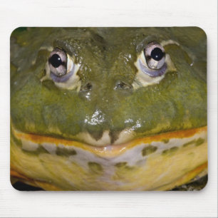 Afrikanischer Grabfrosch, Pyxicephalus Mousepad