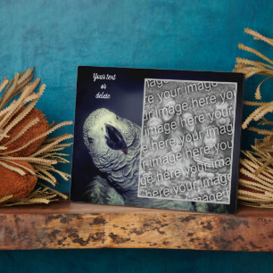 Afrikanischer Grau Papagei - Ihr eigenes Foto Fotoplatte