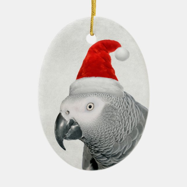 Afrikanischer Grau Papagei in einer Weihnachtsmann Keramik Ornament (Vorne)