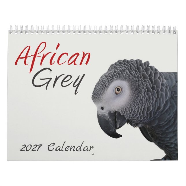 Afrikanischer Grau-Papagei-Kalender 2026 Kalender (Titelbild)