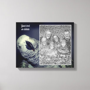 Afrikanischer Grau Papagei kreieren Ihr eigenes Fo Leinwanddruck