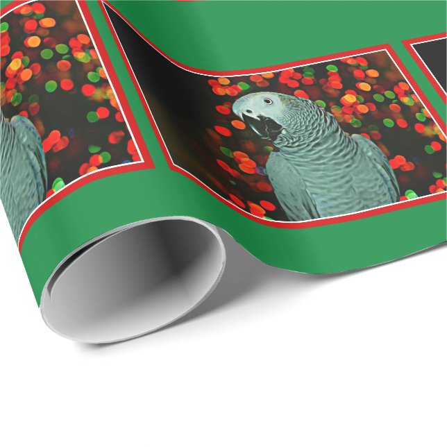 Afrikanischer Grau-Papagei-Malerei mit Weihnachtsb Geschenkpapier (Rolleneckpunkt)