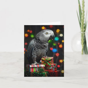 Afrikanischer Grauer auf Geschenke — Festliche Gru Feiertagskarte
