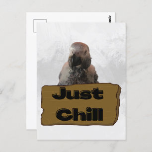 Afrikanischer Graupapagei, Postcross Postcard Postkarte