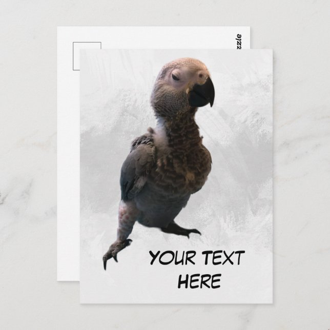 Afrikanischer Graupapagei, Postcross Postcard Postkarte (Vorne/Hinten)