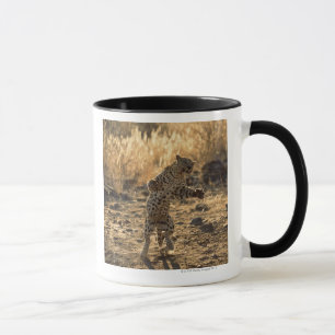 Afrikanischer Leopard auf Hinterbeinen, Namibia, Tasse