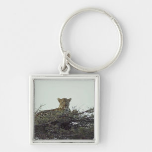 Afrikanischer Leopard Schlüsselanhänger