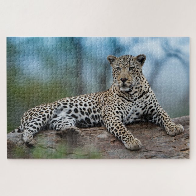 Afrikanischer Leopard Wildkatze Tierart Puzzle (Horizontal)