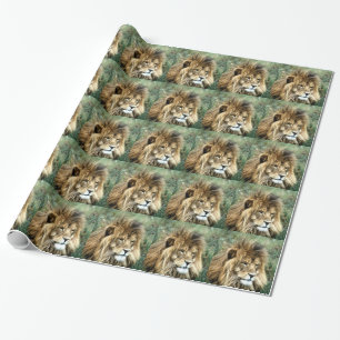Afrikanischer Löwe Geschenkpapier