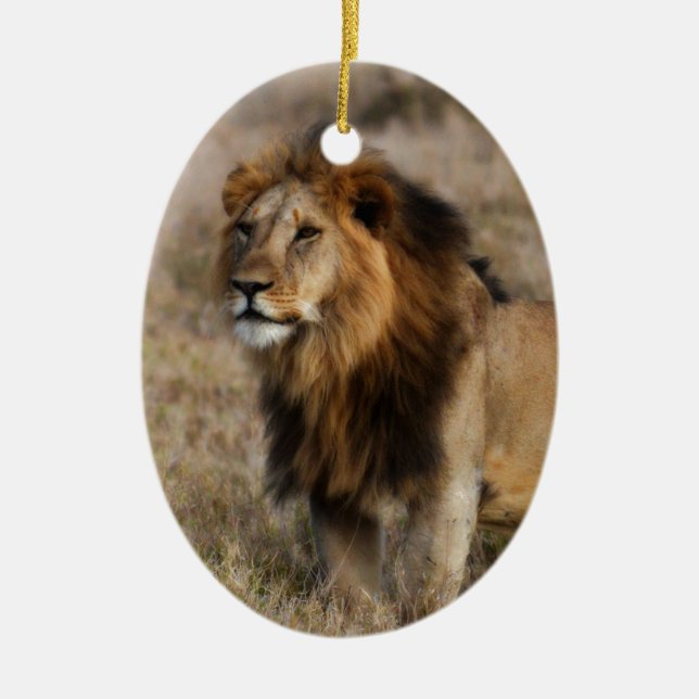 Afrikanischer Löwe im Gras Keramikornament (Vorne)