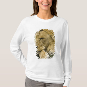 Afrikanischer Löwe, Panthera leo, liegt schlafend T-Shirt