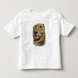 Afrikanischer Löwe, Panthera leo, Porträt eines Kleinkind T-shirt