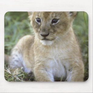 Afrikanischer Löwe, Panthera leo), Tansania, Mousepad