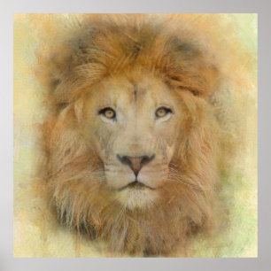 Afrikanischer Löwe Wildlife Wasserfarben-Porträt Poster
