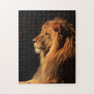 Afrikanischer männlicher Löwe; Tier-Puzzlespiele Puzzle