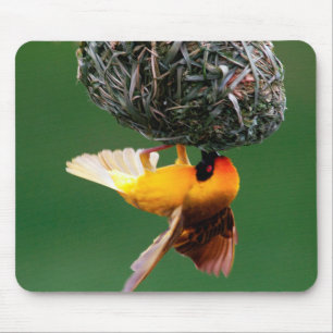 Afrikanischer Maskenweber (Ploceus Velatus) Mousepad